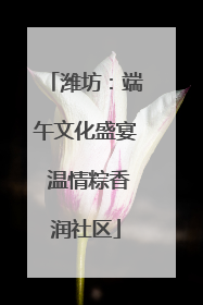 潍坊：端午文化盛宴 温情粽香润社区
