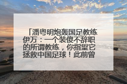 潘粤明炮轰国足教练伊万：一个装傻不辞职的所谓教练，你指望它拯救中国足球！此前曾多次发文评价国足