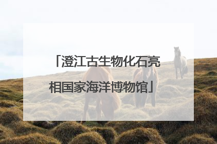 澄江古生物化石亮相国家海洋博物馆