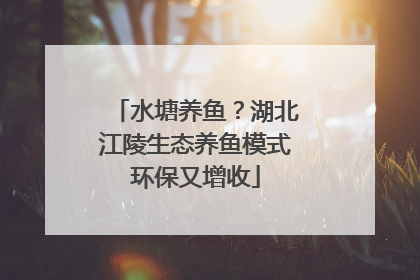 水塘养鱼？湖北江陵生态养鱼模式环保又增收