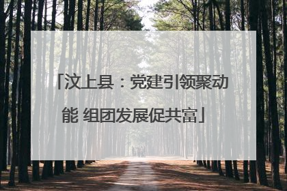 汶上县：党建引领聚动能 组团发展促共富
