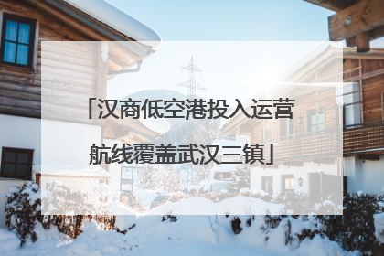 汉商低空港投入运营 航线覆盖武汉三镇