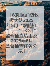 汉阳区消防救援大队2025年5月“双随机”、“一公开”监督抽查结果及2025年6月监督抽查任务公示