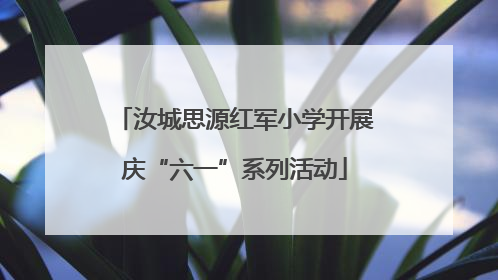 汝城思源红军小学开展庆“六一”系列活动