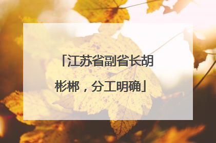 江苏省副省长胡彬郴，分工明确