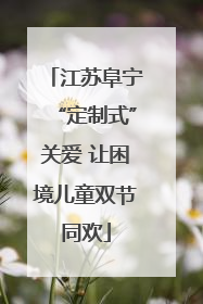 江苏阜宁“定制式”关爱 让困境儿童双节同欢