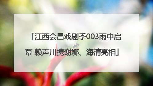 江西会昌戏剧季003雨中启幕 赖声川携谢娜、海清亮相