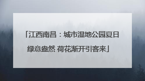 江西南昌：城市湿地公园夏日绿意盎然 荷花渐开引客来