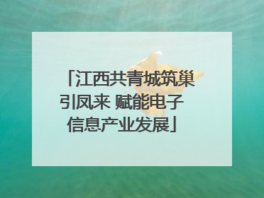 江西共青城筑巢引凤来 赋能电子信息产业发展