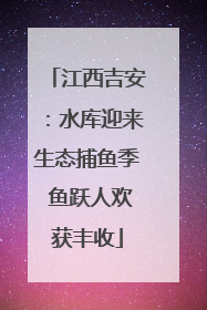 江西吉安：水库迎来生态捕鱼季 鱼跃人欢获丰收