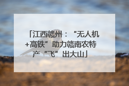 江西赣州：“无人机+高铁”助力赣南农特产“飞”出大山