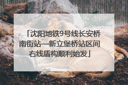沈阳地铁9号线长安桥南街站—新立堡桥站区间右线盾构顺利始发