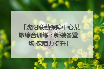 沈阳联勤保障中心某旅综合训练：新装备登场 保障力提升