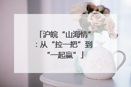 沪皖“山海情”：从“拉一把”到“一起赢”
