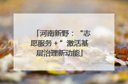 河南新野：“志愿服务＋”激活基层治理新动能