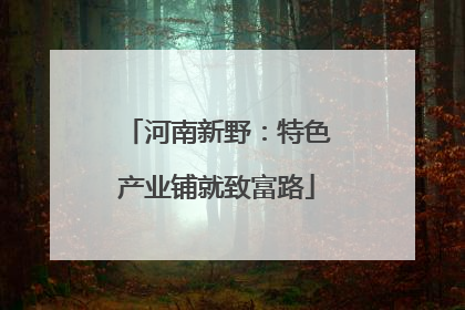 河南新野：特色产业铺就致富路