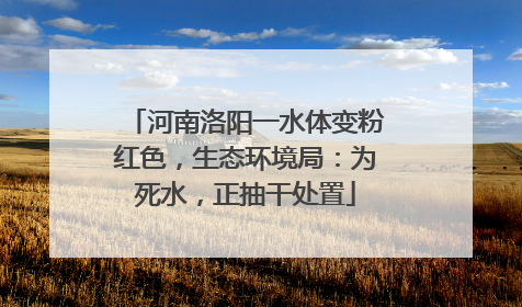 河南洛阳一水体变粉红色，生态环境局：为死水，正抽干处置