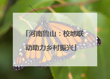 河南鲁山：校地联动助力乡村振兴