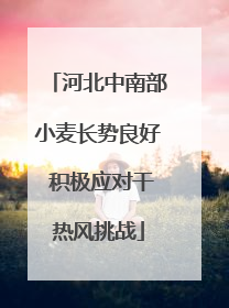 河北中南部小麦长势良好 积极应对干热风挑战