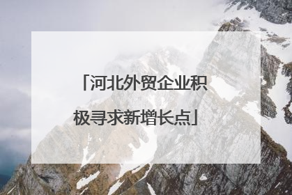河北外贸企业积极寻求新增长点