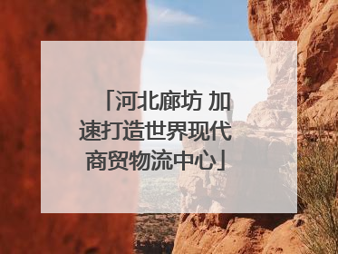 河北廊坊 加速打造世界现代商贸物流中心