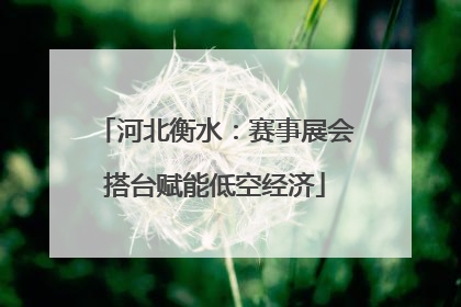 河北衡水：赛事展会搭台赋能低空经济