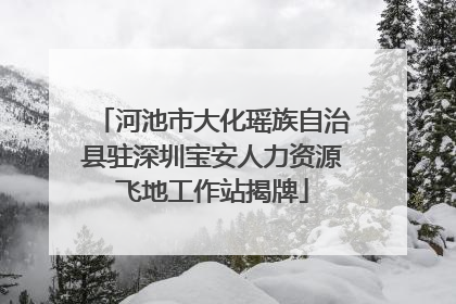 河池市大化瑶族自治县驻深圳宝安人力资源飞地工作站揭牌