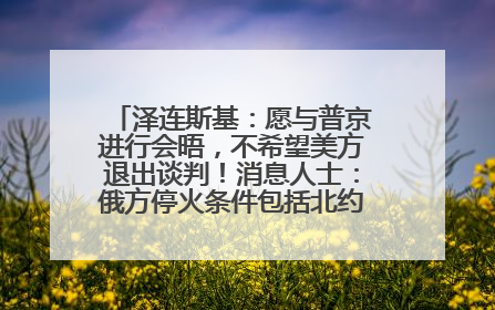 泽连斯基：愿与普京进行会晤，不希望美方退出谈判！消息人士：俄方停火条件包括北约“书面”保证不东扩