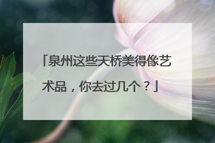 泉州这些天桥美得像艺术品，你去过几个？