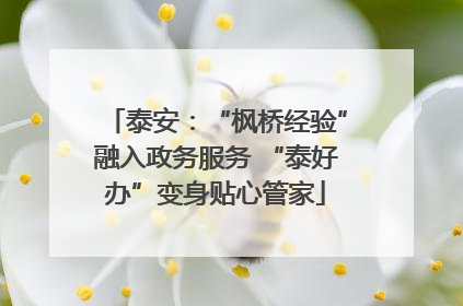 泰安：“枫桥经验”融入政务服务 “泰好办”变身贴心管家