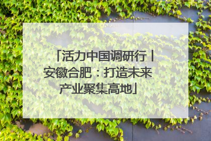 活力中国调研行丨安徽合肥：打造未来产业聚集高地