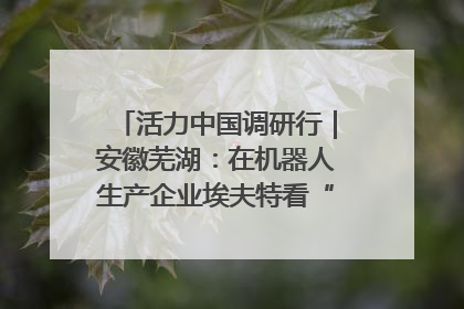 活力中国调研行｜安徽芜湖：在机器人生产企业埃夫特看“中国智造”