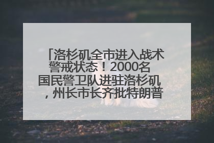 洛杉矶全市进入战术警戒状态！2000名国民警卫队进驻洛杉矶，州长市长齐批特朗普“制造混乱”