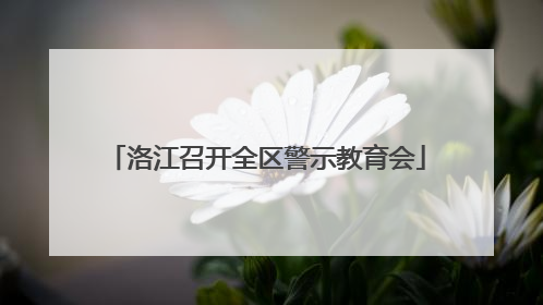 洛江召开全区警示教育会