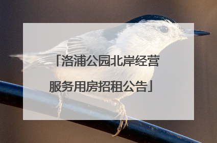 洛浦公园北岸经营服务用房招租公告