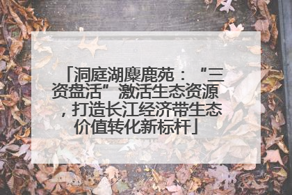 洞庭湖麋鹿苑：“三资盘活”激活生态资源，打造长江经济带生态价值转化新标杆