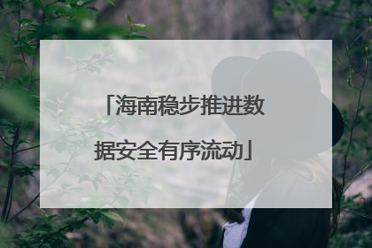 海南稳步推进数据安全有序流动