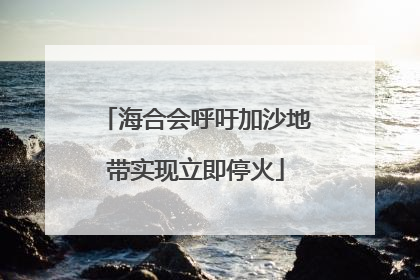 海合会呼吁加沙地带实现立即停火