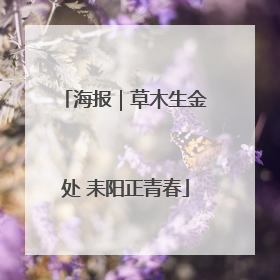 海报｜草木生金处 耒阳正青春