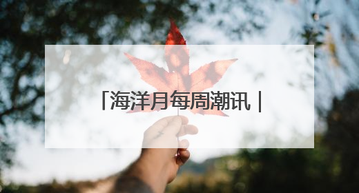 海洋月每周潮讯｜社群联动，多元场景共绘蔚蓝新章