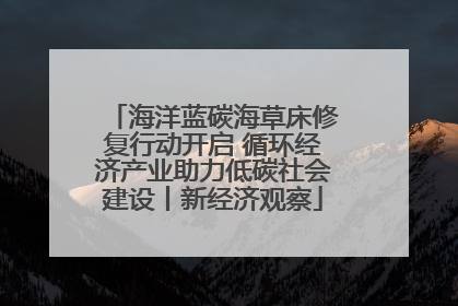 海洋蓝碳海草床修复行动开启 循环经济产业助力低碳社会建设丨新经济观察