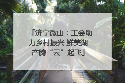 济宁微山：工会助力乡村振兴 鲜美湖产腾“云”起飞