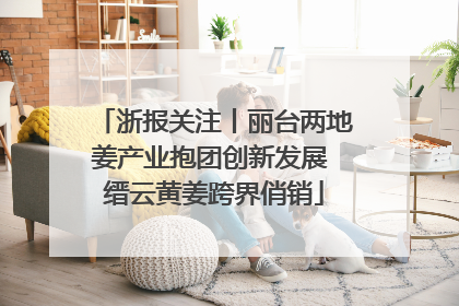 浙报关注丨丽台两地姜产业抱团创新发展 缙云黄姜跨界俏销