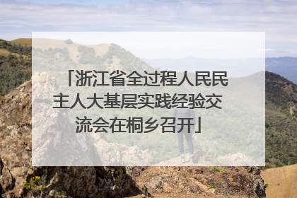 浙江省全过程人民民主人大基层实践经验交流会在桐乡召开