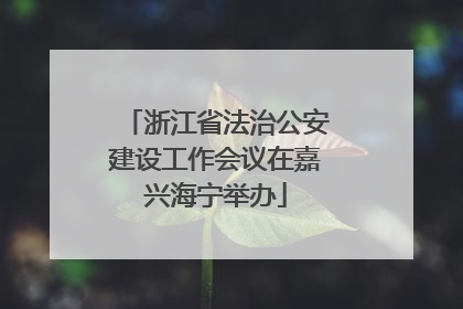 浙江省法治公安建设工作会议在嘉兴海宁举办