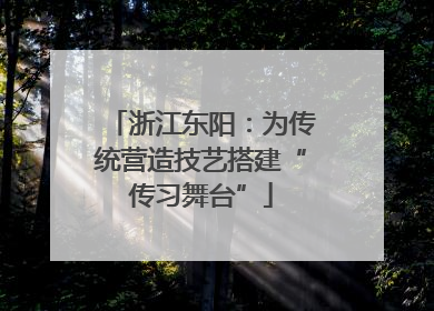 浙江东阳：为传统营造技艺搭建“传习舞台”