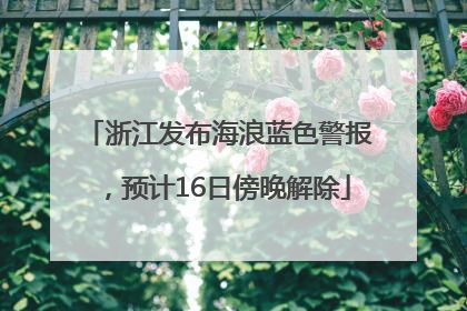 浙江发布海浪蓝色警报，预计16日傍晚解除