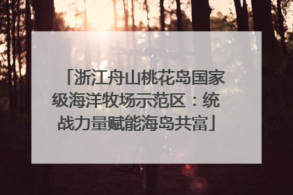 浙江舟山桃花岛国家级海洋牧场示范区：统战力量赋能海岛共富