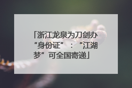 浙江龙泉为刀剑办“身份证”：“江湖梦”可全国寄递