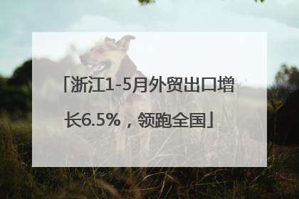 浙江1-5月外贸出口增长6.5%，领跑全国